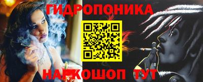 гидра Лесосибирск