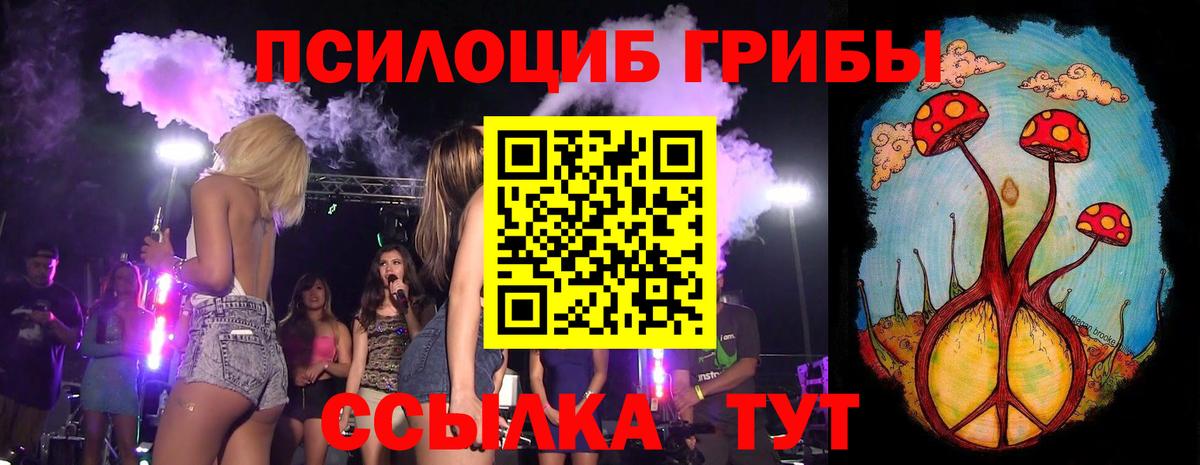 Псилоцибиновые грибы GOLDEN TEACHER Усть-Джегута
